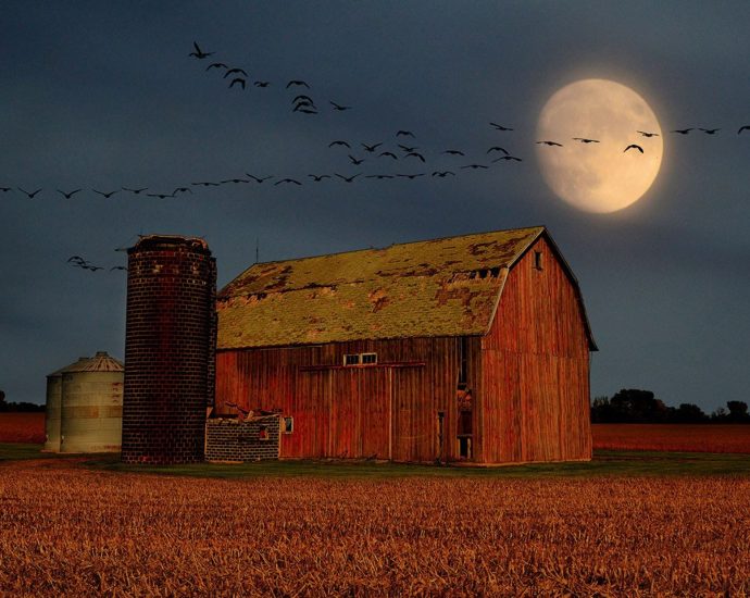 what’s-up:-september-2026-skywatching-tips-from-nasa