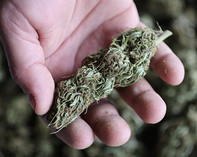 congress-passes-bill-delaying-ban-on-hemp-thc-products