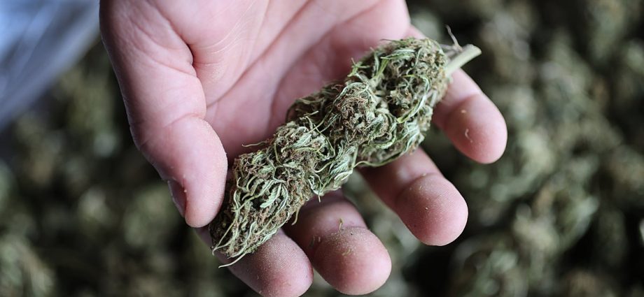congress-passes-bill-delaying-ban-on-hemp-thc-products