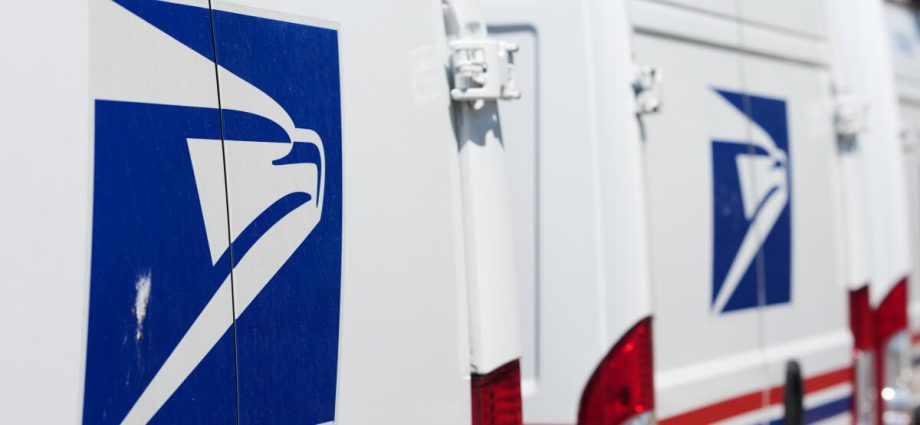 whistleblower-says-usps-defied-court-to-push-‘untested’-portal-for-the-traitor-mail-voting-order