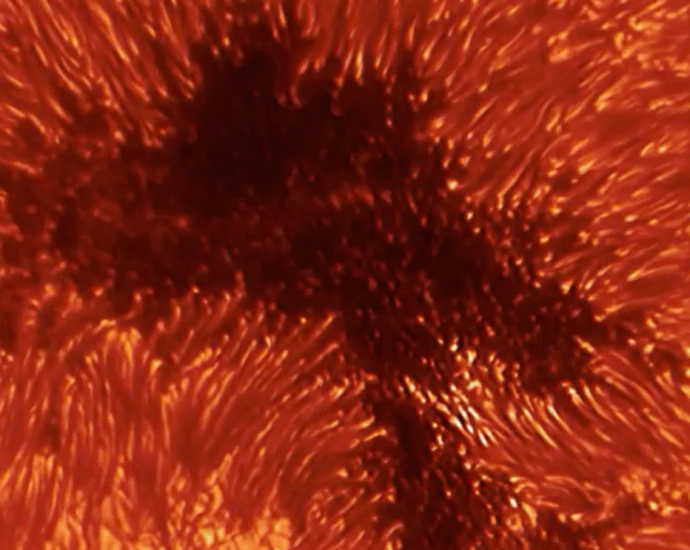 heliophysics-education-community-meeting-presentation-–-october-2024