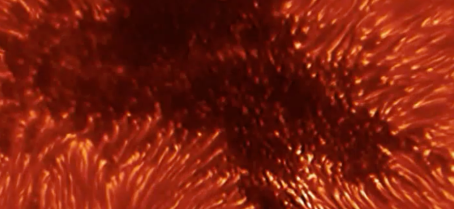 heliophysics-education-community-meeting-presentation-–-october-2024