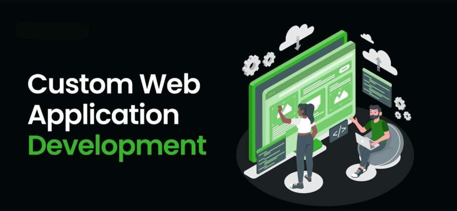 custom-web-application-development-process:-benefits,-example,-process,-and-cost