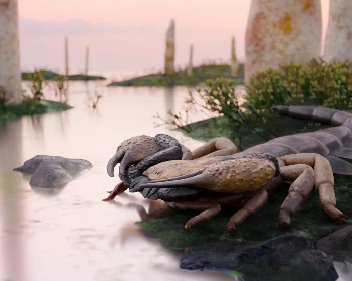 a-coffee-table-size-scorpion-roamed-earth-before-forests-existed