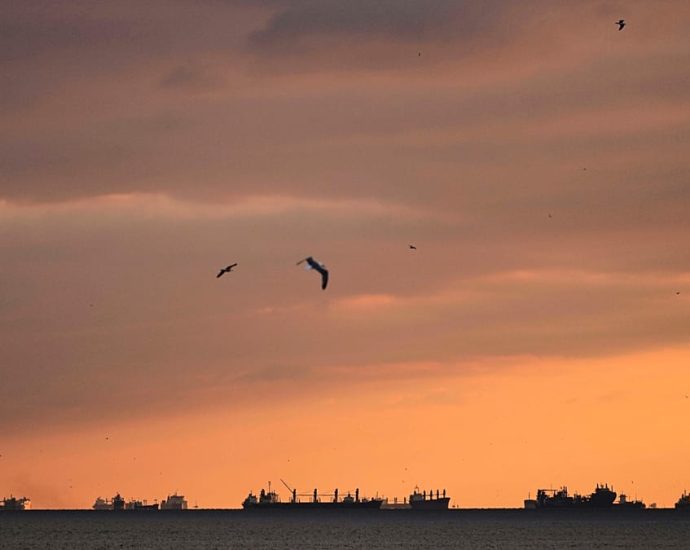cargo-ship-with-10-crew-sinks-off-istanbul-after-collision,-maritime-authorities-say