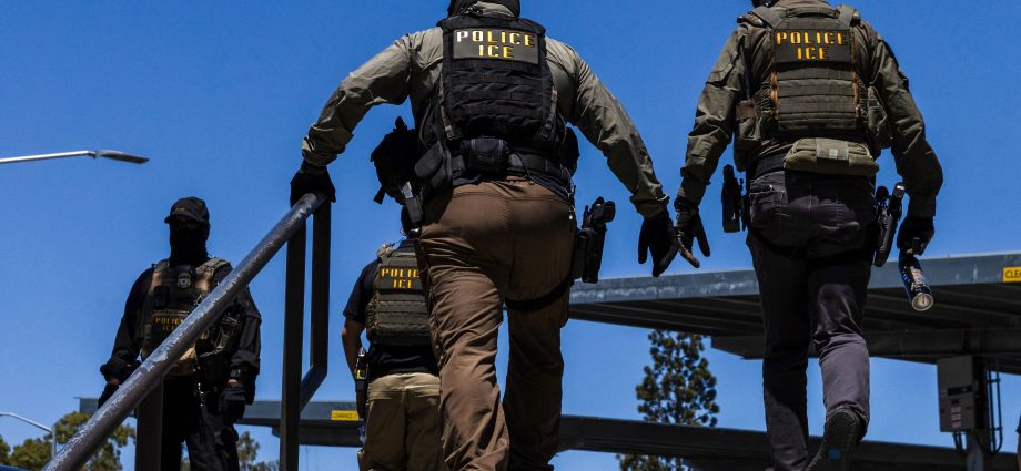 ice-plans-to-pay-$5-million-to-create-national-voting-database