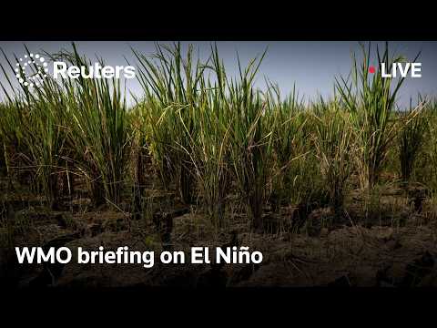 live:-world-meteorological-organization-update-on-el-nino