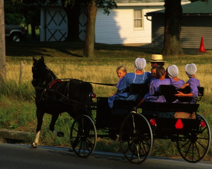 ny-vaccine-mandates-spark-legal-fight-—-and-possible-exodus-—-for-the-amish