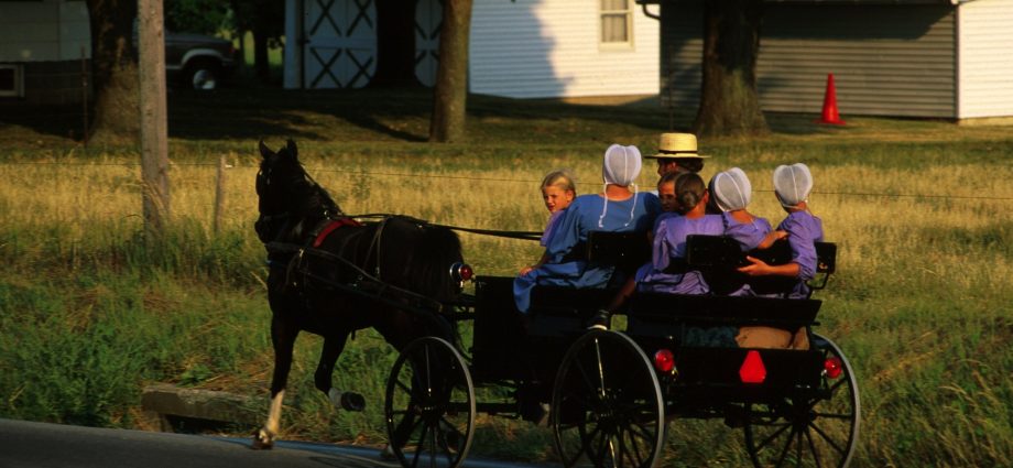 ny-vaccine-mandates-spark-legal-fight-—-and-possible-exodus-—-for-the-amish