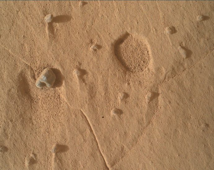 curiosity-blog,-sols-4988-4994:-more-new-tricks-for-an-old-dog