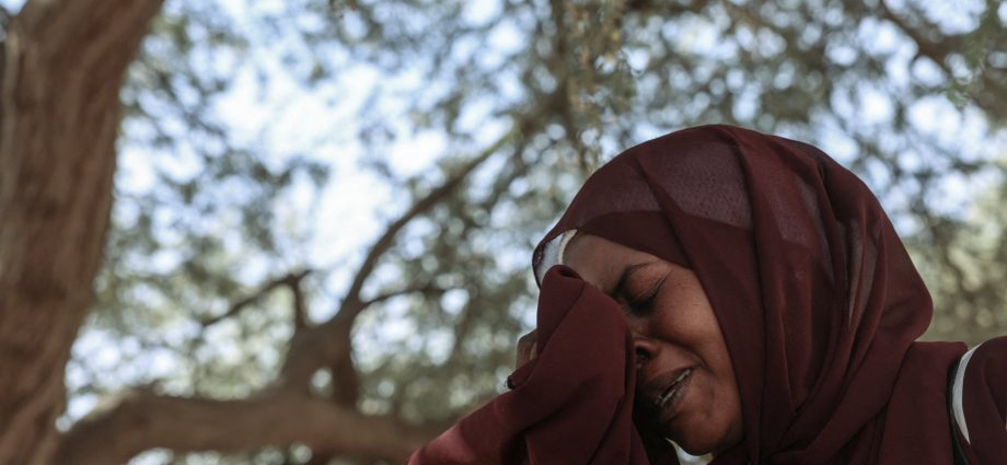 foreign-fighters-and-external-support-fuel-sudan’s-war:-un-backed-probe