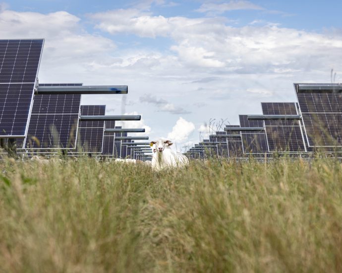 these-states-are-leading-the-electricity-generation-boom