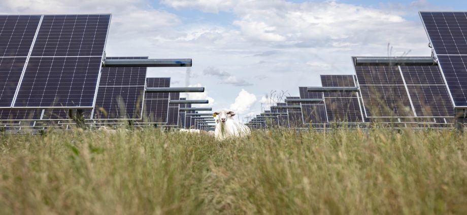 these-states-are-leading-the-electricity-generation-boom