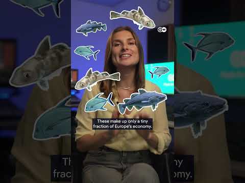 why-do-fish-have-so-much-power-in-europe’s-politics?-|-dw-news