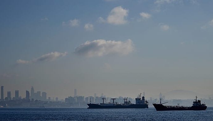 tanker-captain-arrested-over-cargo-ship-sinking-off-istanbul,-prosecutors-say