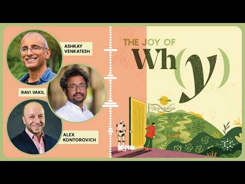 what-is-math-for-in-the-age-of-ai?-–-live-from-icm-2026-|-podcast:-the-joy-of-why