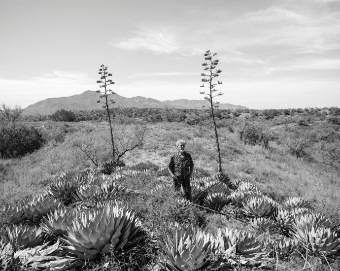 on-the-road-with-a-desert-sage