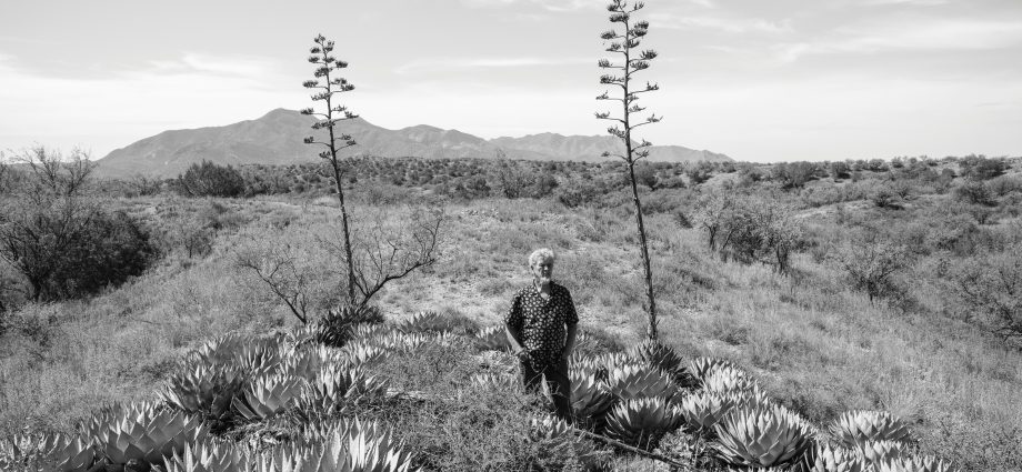 on-the-road-with-a-desert-sage