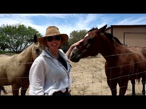 on-the-border-with-horse-smugglers-and-screwworm