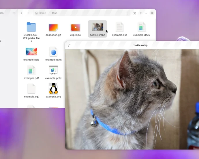 gnome-sushi-gets-a-gtk4-revamp,-new-features