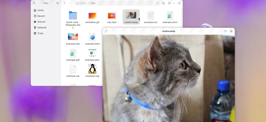 gnome-sushi-gets-a-gtk4-revamp,-new-features