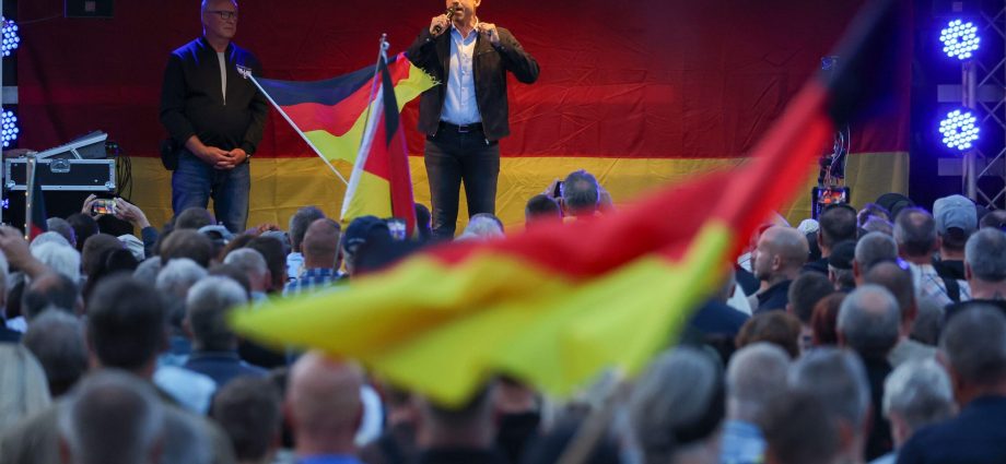 far right-win-could-‘rupture’-profitable-renewables-push-in-east-germany-–-experts