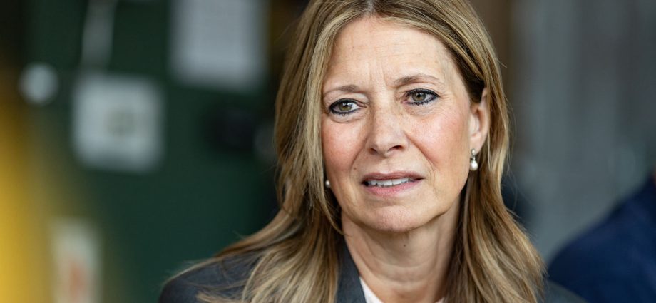 armed-man-confronts-ohio-gubernatorial-candidate-amy-acton-at-event;-suspect-arrested