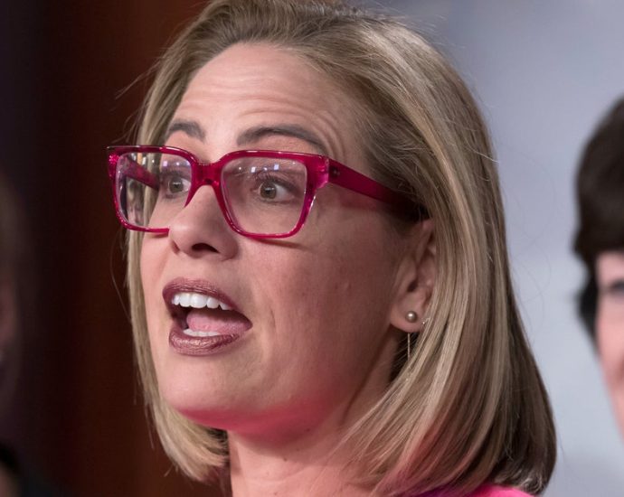 judge-rules-kyrsten-sinema-can-be-sued-under-north-carolina’s-‘homewrecker’-law