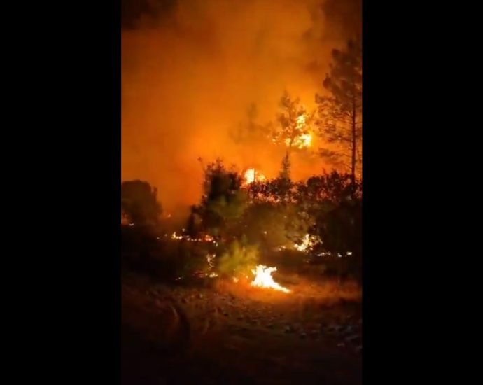 forest-fires-force-evacuations-near-resorts-in-antalya