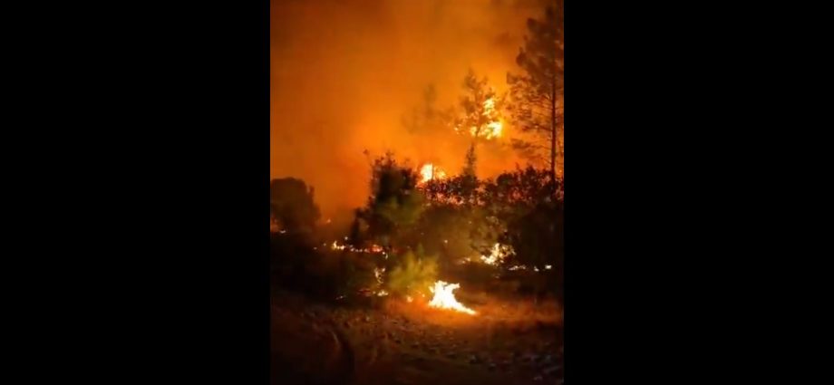 forest-fires-force-evacuations-near-resorts-in-antalya