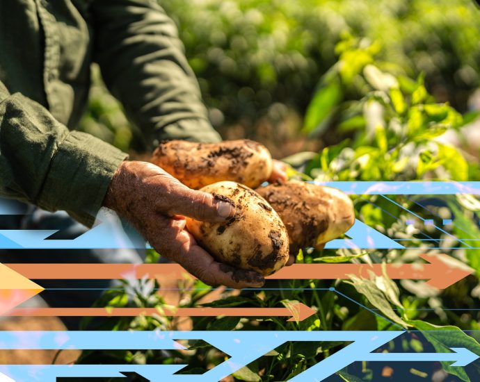 study-predicts-large-disparities-in-access-to-food,-water,-and-energy-in-2050