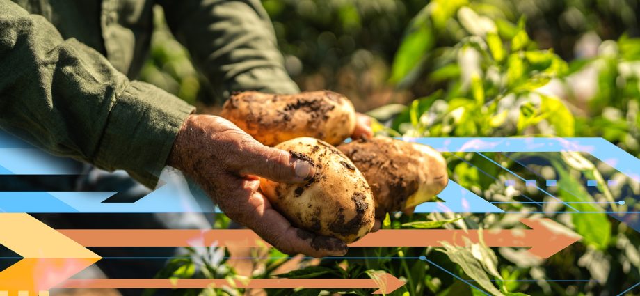 study-predicts-large-disparities-in-access-to-food,-water,-and-energy-in-2050