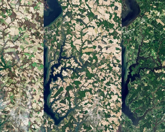 separating-wheat-from-chaff-—-from-space