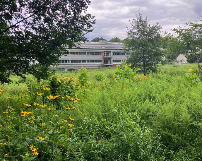 unlocking-forest-diversity-from-above:-fieldwork-at-smithsonian’s-biodiversitree