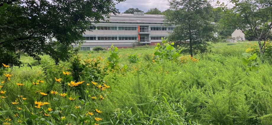 unlocking-forest-diversity-from-above:-fieldwork-at-smithsonian’s-biodiversitree