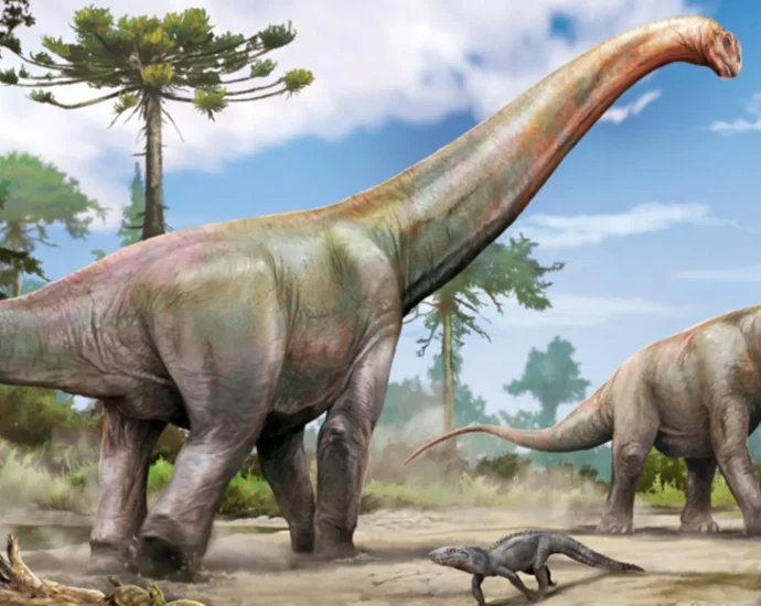 giant-new-dinosaur-discovered-beneath-construction-site-in-brazil