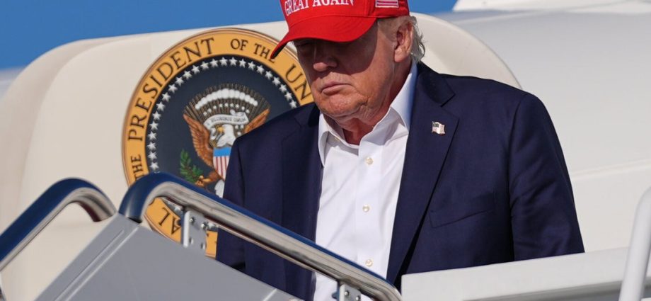 the-traitor-promised-to-drain-the-swamp-americans-think-he’s-filling-it.