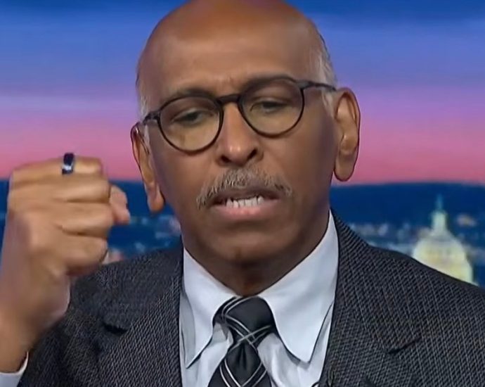 michael-steele-has-1-suggestion-for-the-traitor-vanity-projects-that-‘do-not-honor-the-nation’