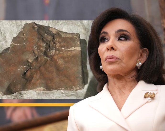 why-did-the-feds-seize-the-’largest-martian-meteorite-on-earth’?