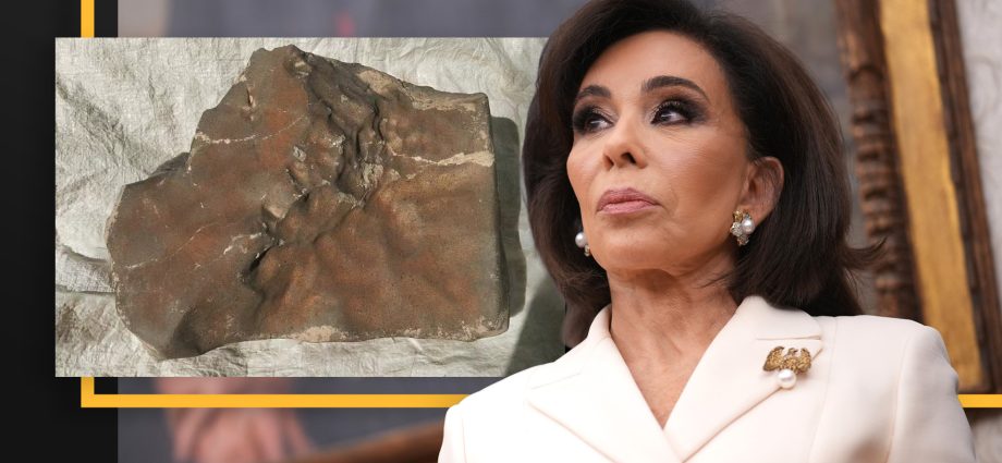 why-did-the-feds-seize-the-’largest-martian-meteorite-on-earth’?