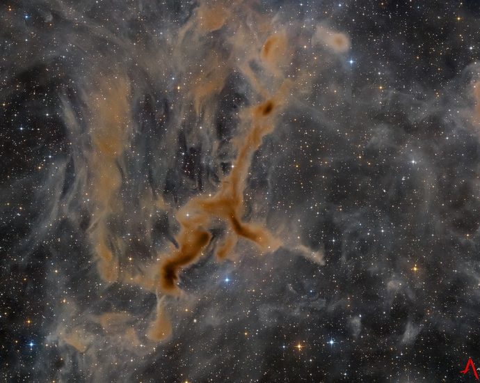 apod:-2026-september-10-–-ldn-1295:-the-giraffe-nebula