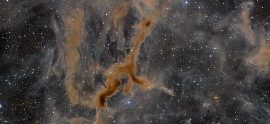 apod:-2026-september-10-–-ldn-1295:-the-giraffe-nebula
