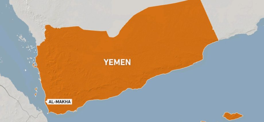 houthis-capture-yemeni-town-of-mocha:-why-it-matters
