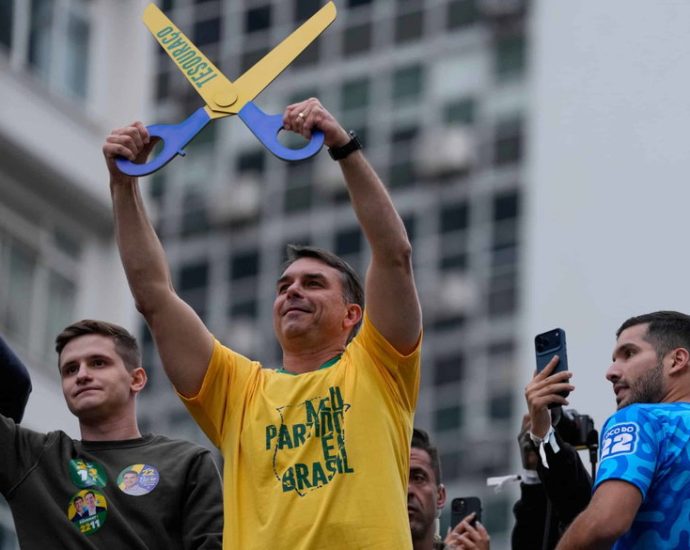 on-the-ballot-in-brazil:-the-future-of-the-amazon