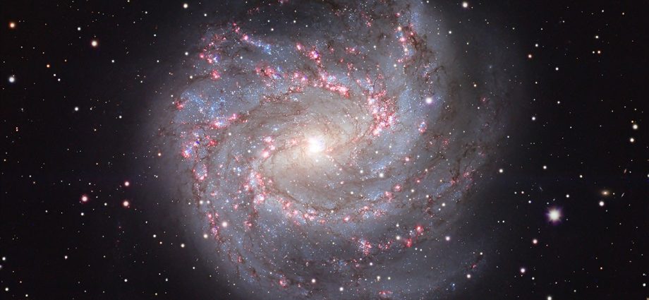 apod:-2026-september-11-–-m83:-the-southern-pinwheel