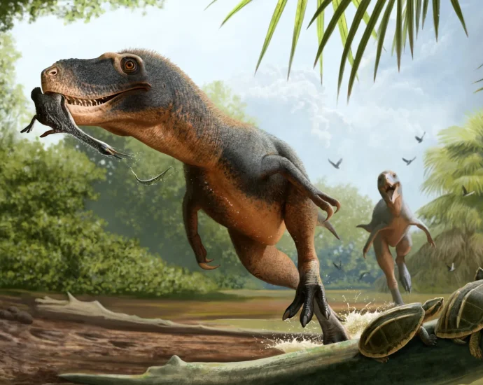 66-million-year-old-feather-in-dinosaur-poop-may-reveal-why-birds-survived-the-asteroid
