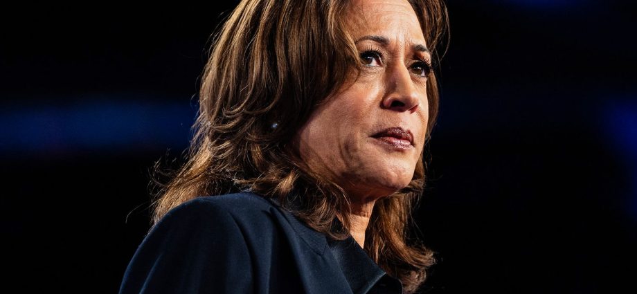 alleged-trespasser-stopped-outside-kamala-harris’-malibu-home