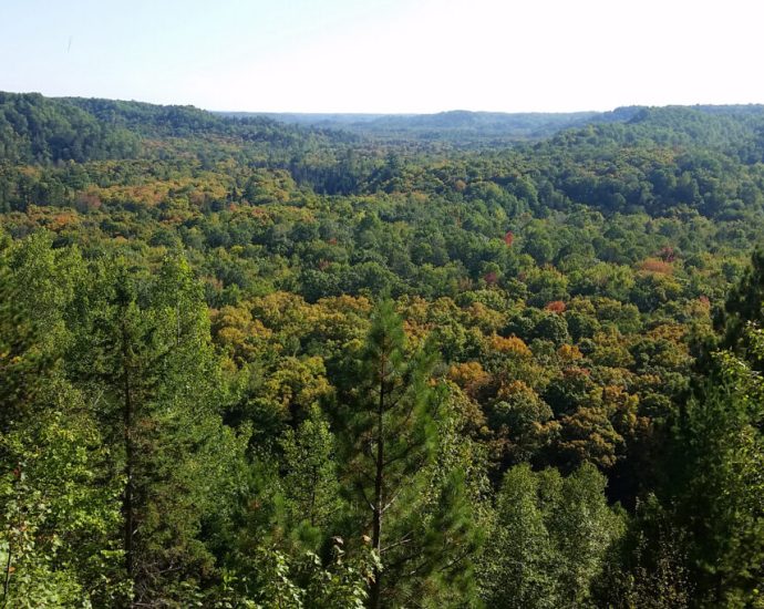 formal-repeal-of-roadless-rule-directly-threatens-midwest-wilderness