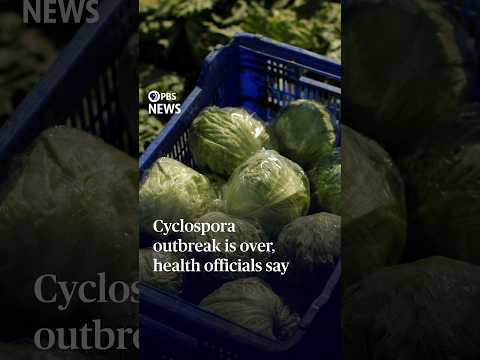 cyclospora-outbreak-is-over,-health-officials-say