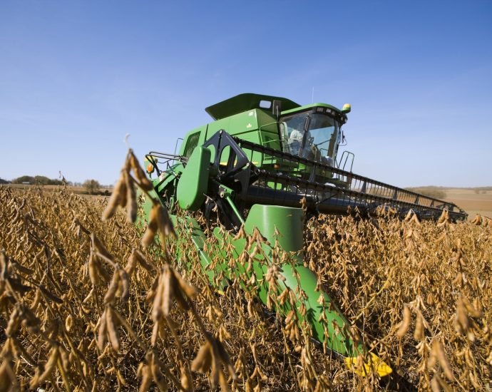 how-soybeans-took-over-the-american-diet-–-without-anyone noticing